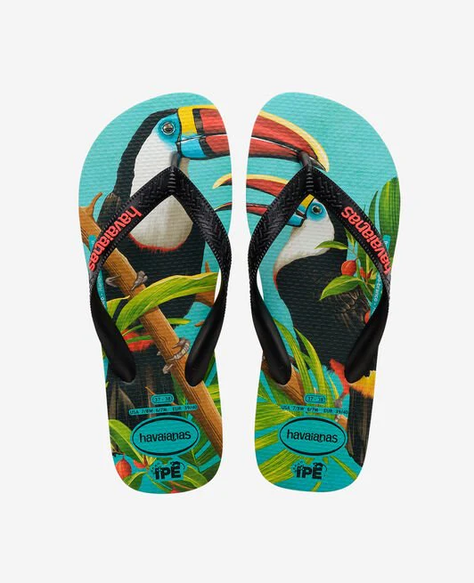 HAV. IPE Toucan