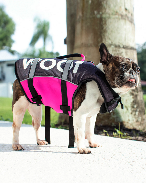 Follow Gilet Chien