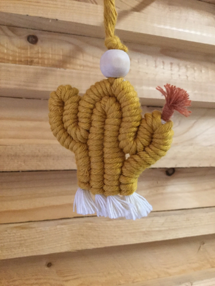 Cactus Macramé