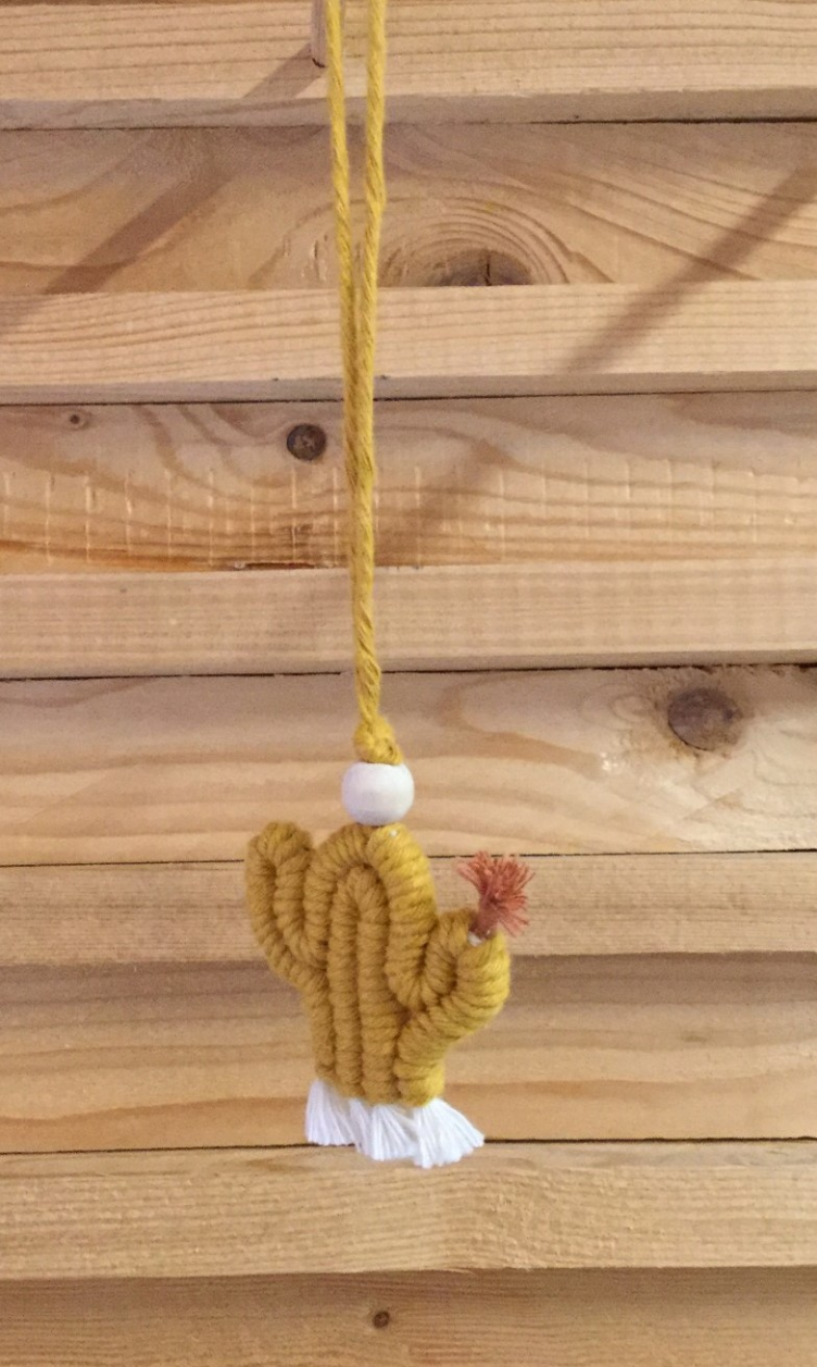 Cactus Macramé - 0