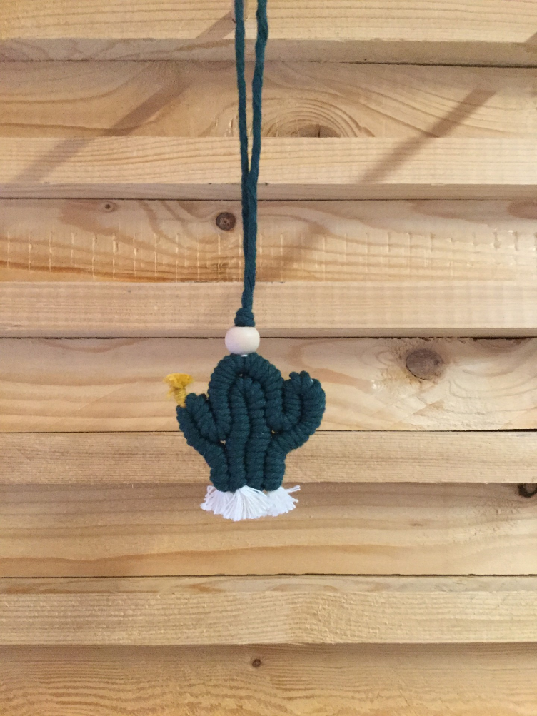Cactus Macramé