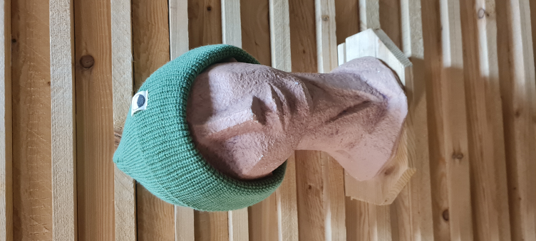 Beanie